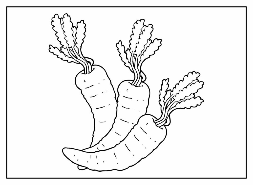 desenhos de cenoura para colorir 14
