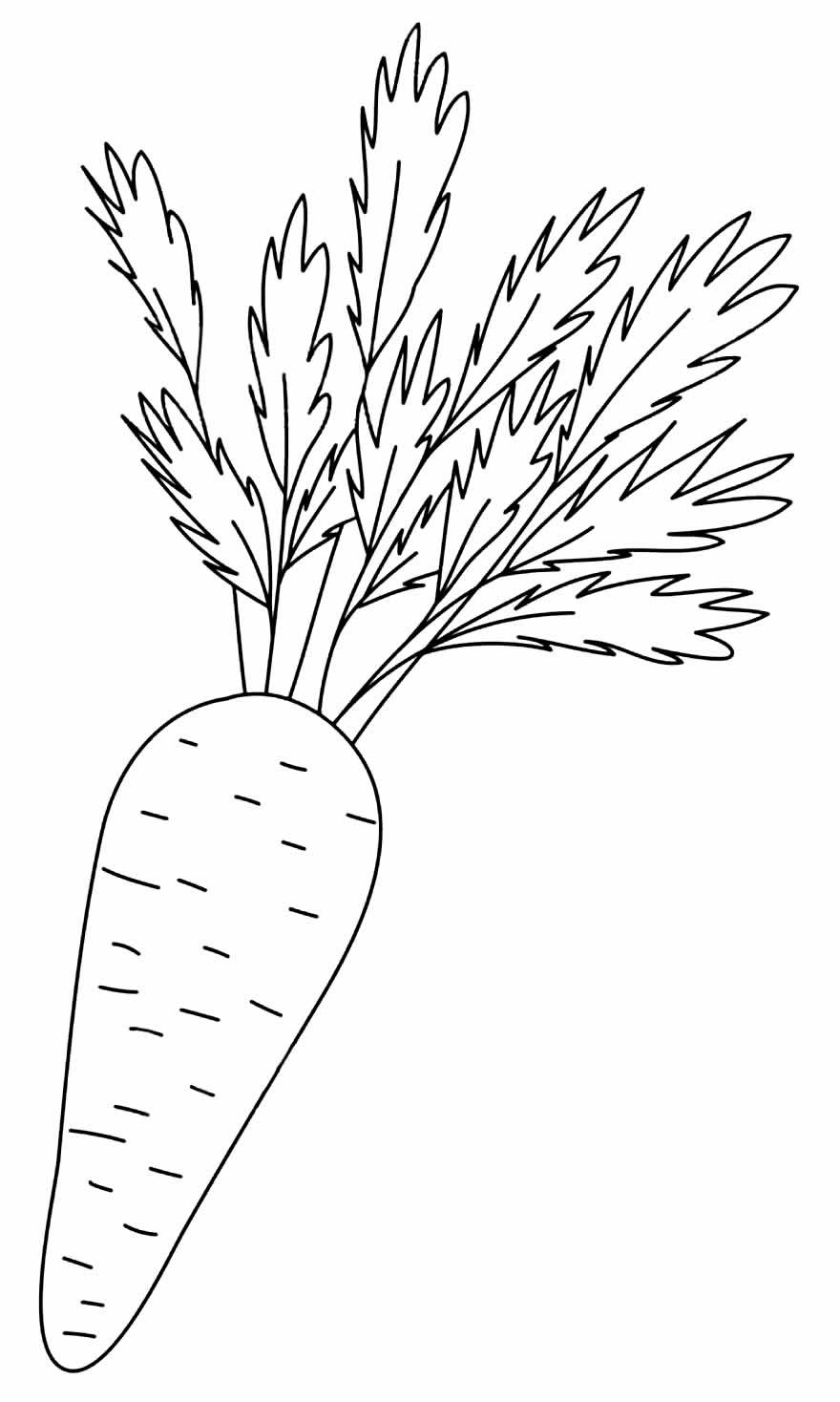 Desenhos de Cenoura para Colorir e Imprimir