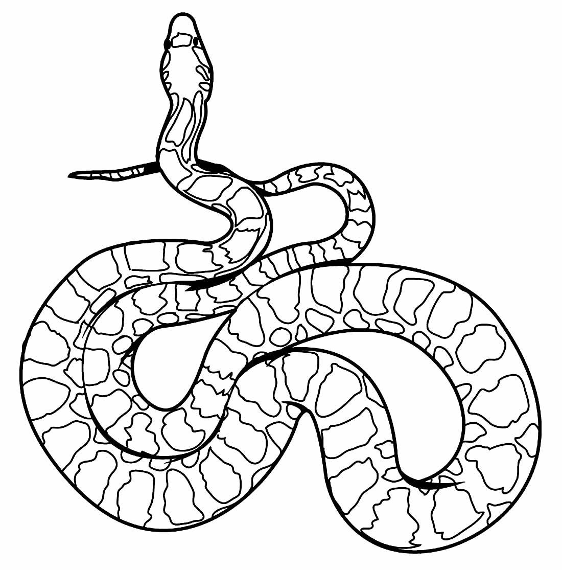 Desenhos de Cobra para Colorir e Imprimir