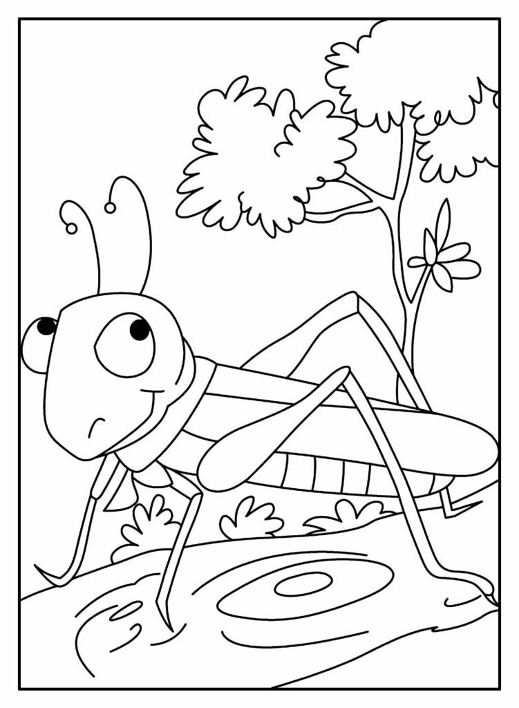 desenhos de gafanhoto para colorir 12 1