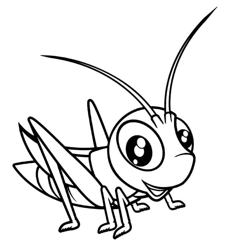 Desenhos de Gafanhotos para Colorir e Imprimir