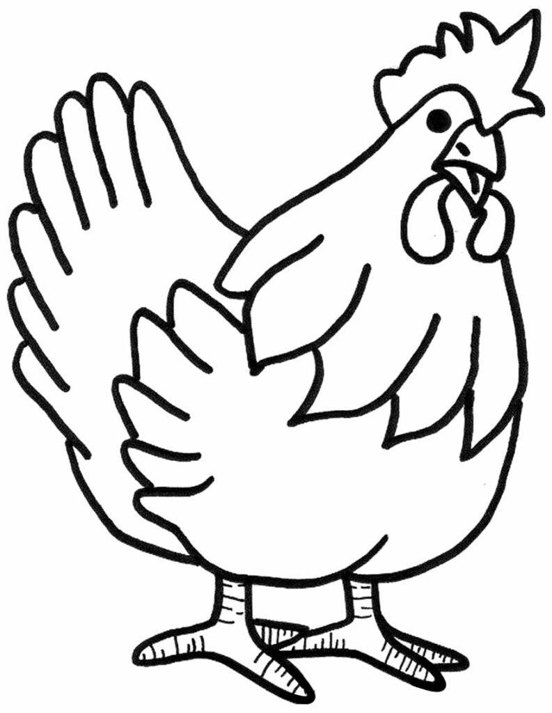 desenhos de galinha para colorir 1
