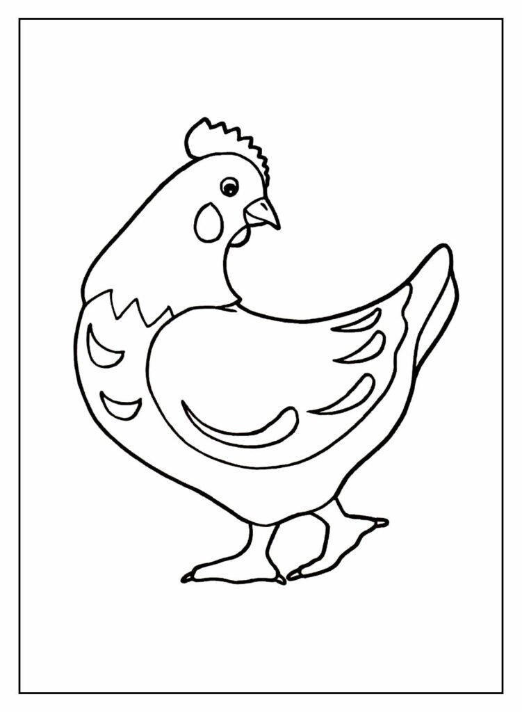 desenhos de galinha para colorir 10 1