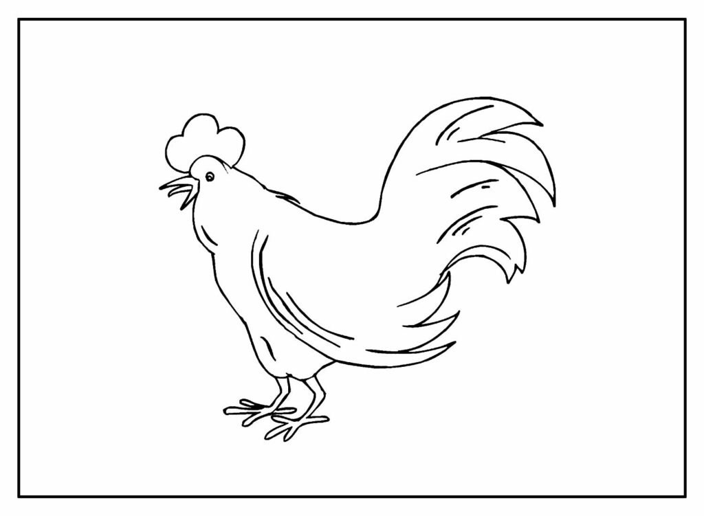 desenhos de galinha para colorir 11 2