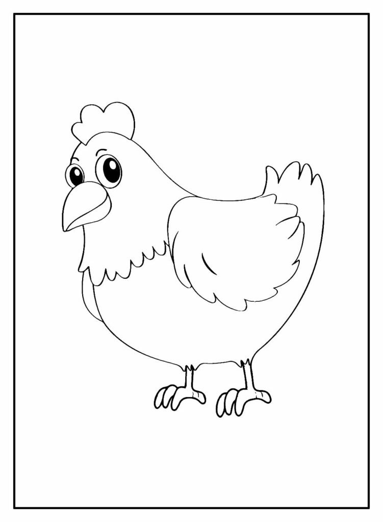 desenhos de galinha para colorir 13