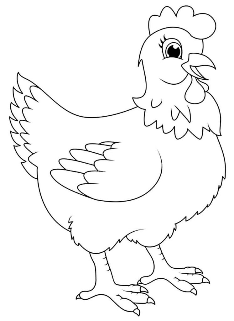 desenhos de galinha para colorir 19