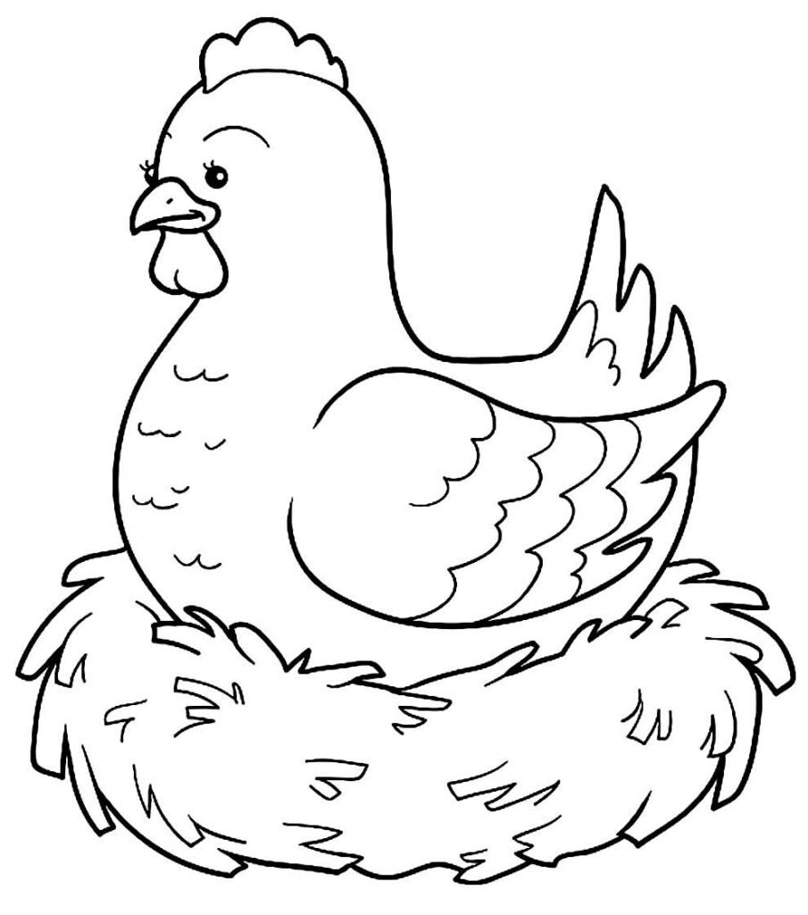 desenhos de galinha para colorir 2 1