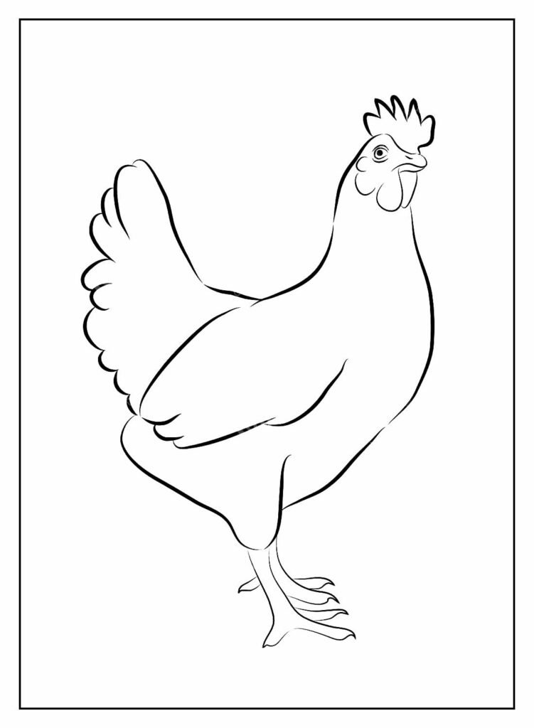 desenhos de galinha para colorir 20