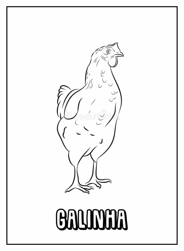 desenhos de galinha para colorir 23