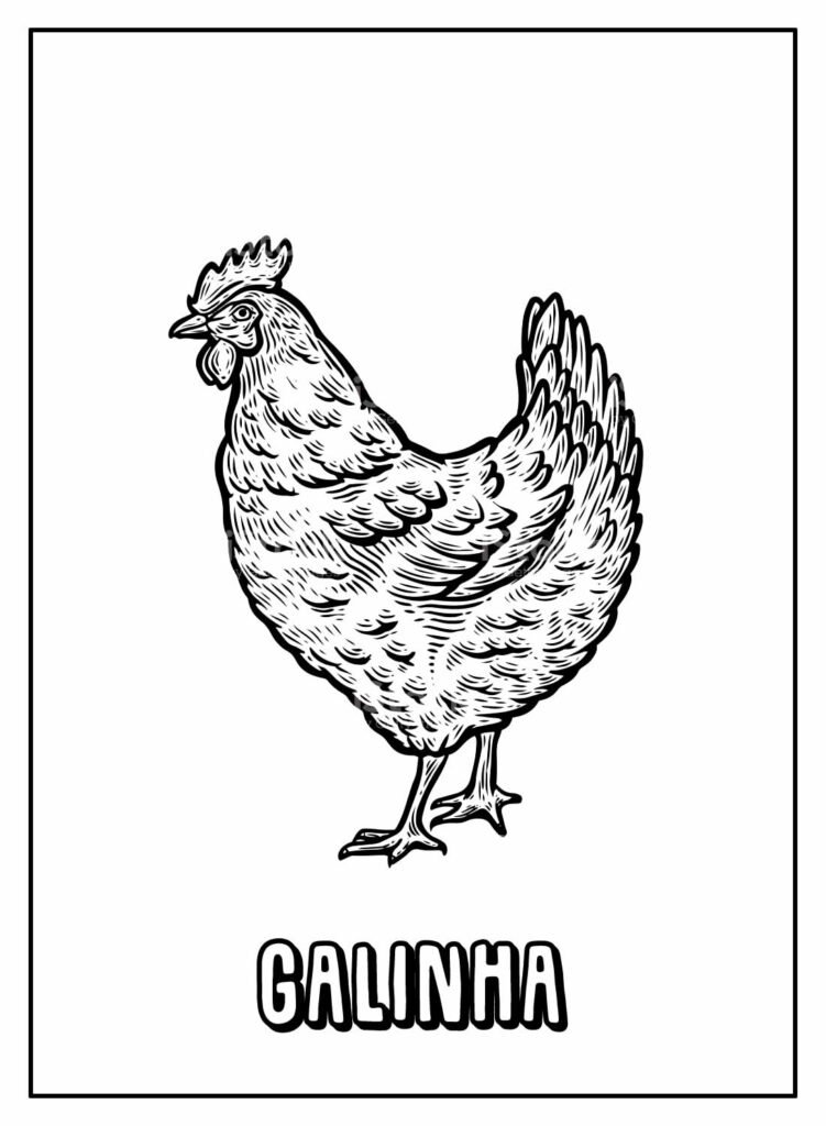 desenhos de galinha para colorir 24