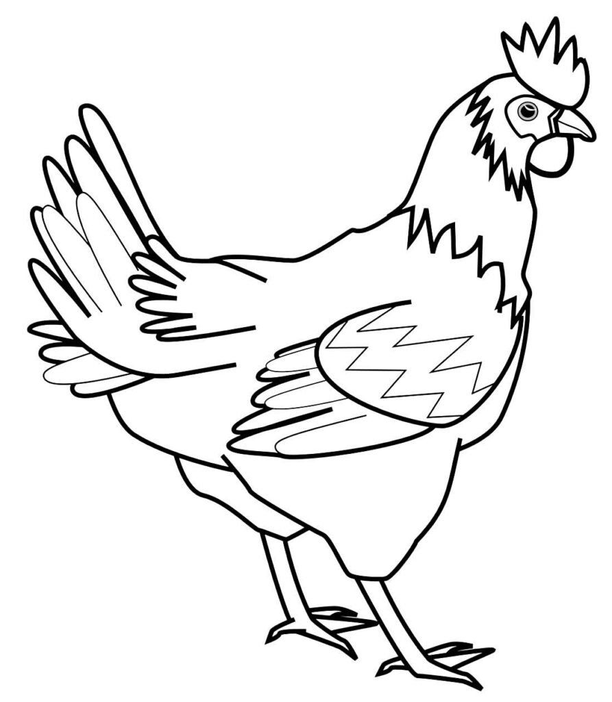 desenhos de galinha para colorir 5