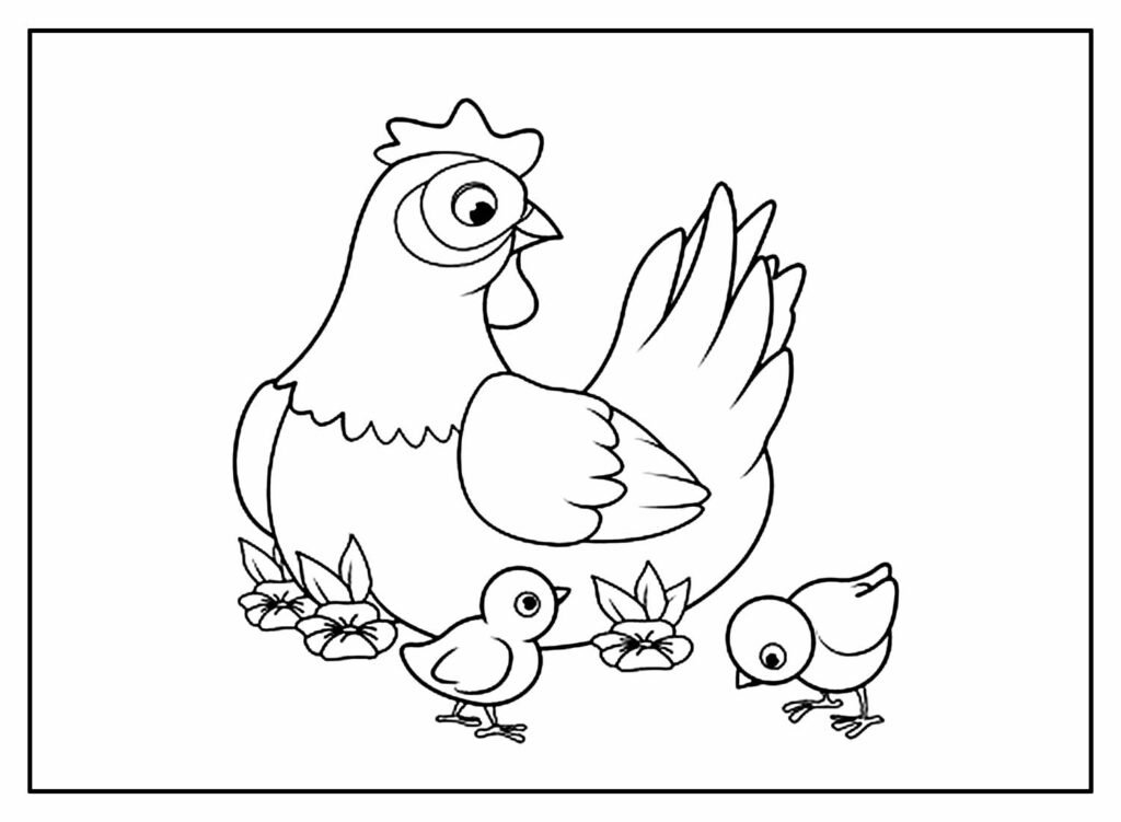 desenhos de galinha para colorir 6 1