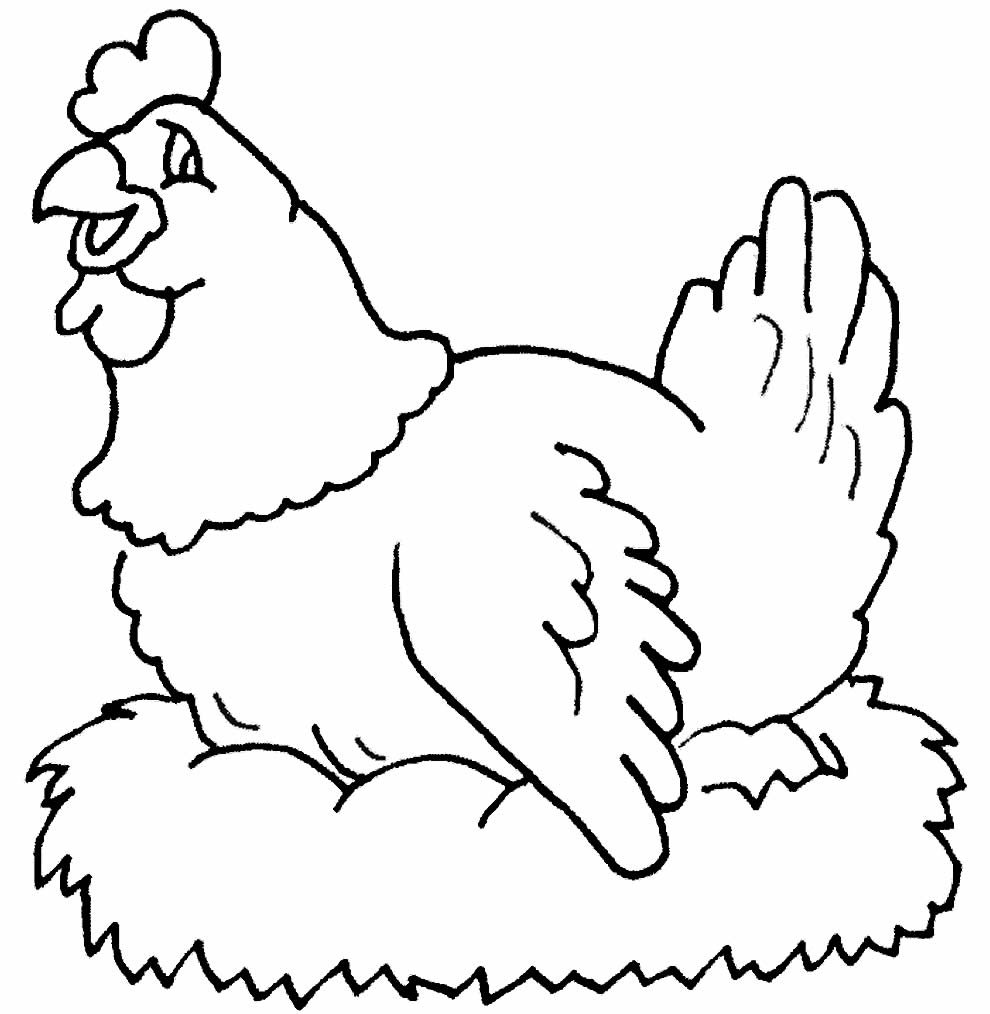 desenhos de galinha para colorir 7