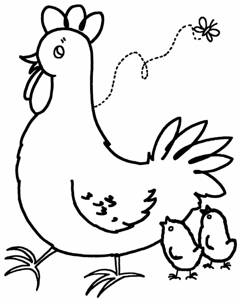 desenhos de galinha para colorir 9