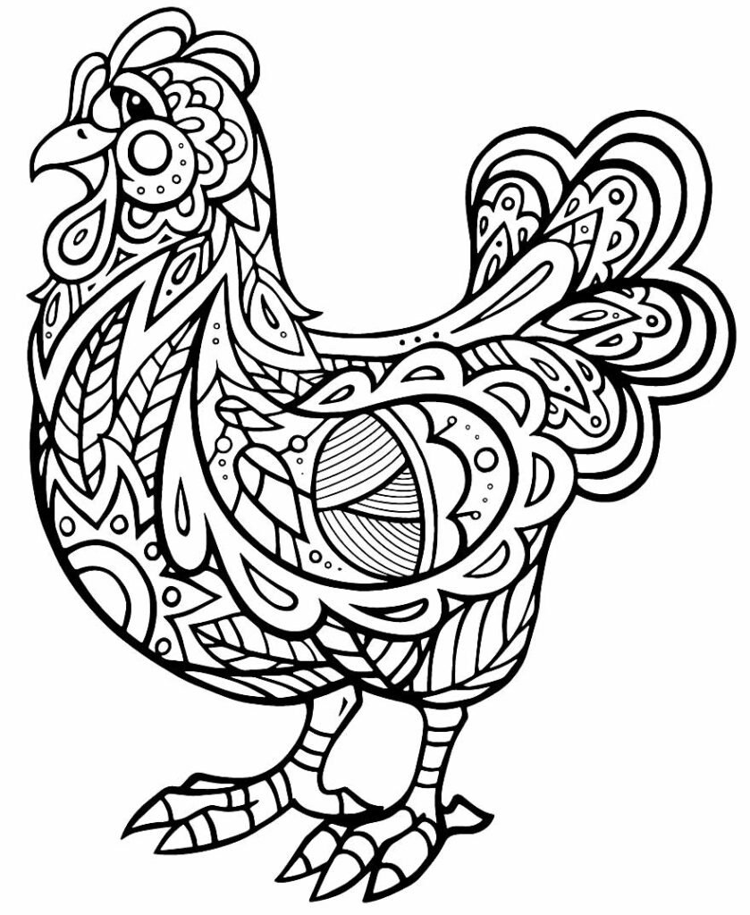 desenhos de galinha para pintar e colorir 10