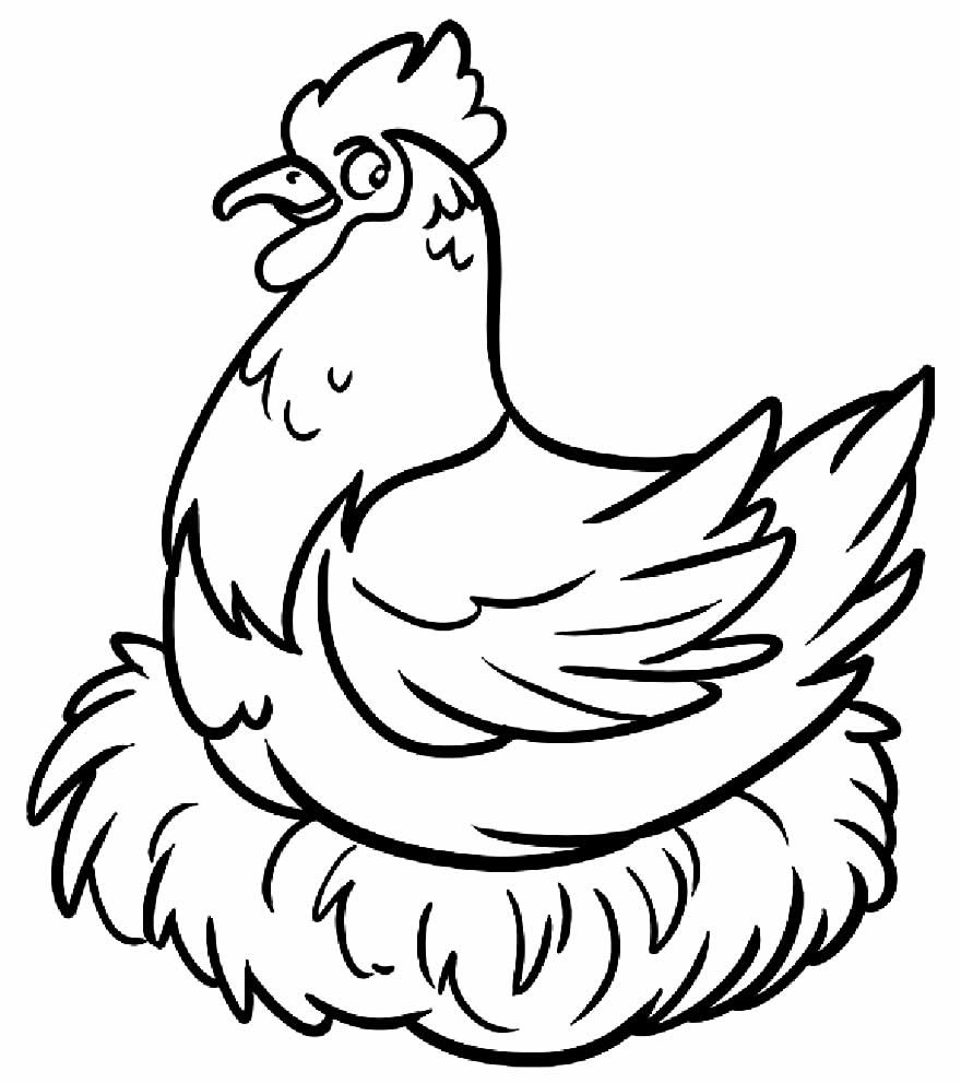 desenhos de galinha para pintar e colorir 9