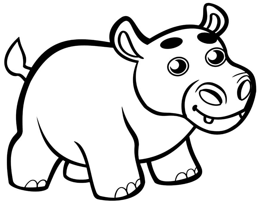 desenhos de hipopotamo para colorir 1