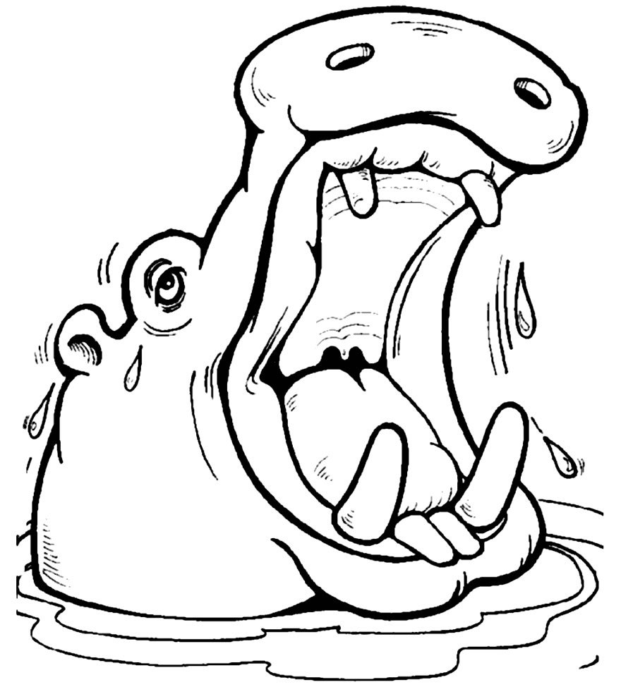desenhos de hipopotamo para colorir 1000