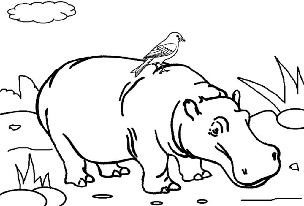desenhos de hipopotamo para colorir 110