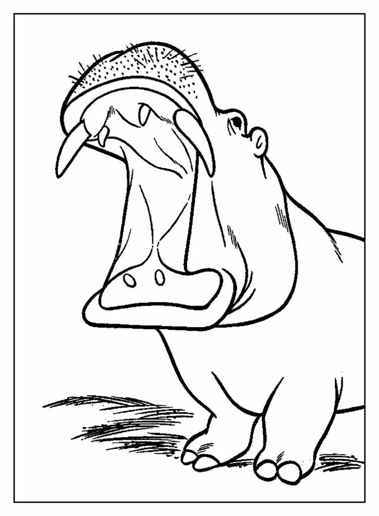 desenhos de hipopotamo para colorir 13