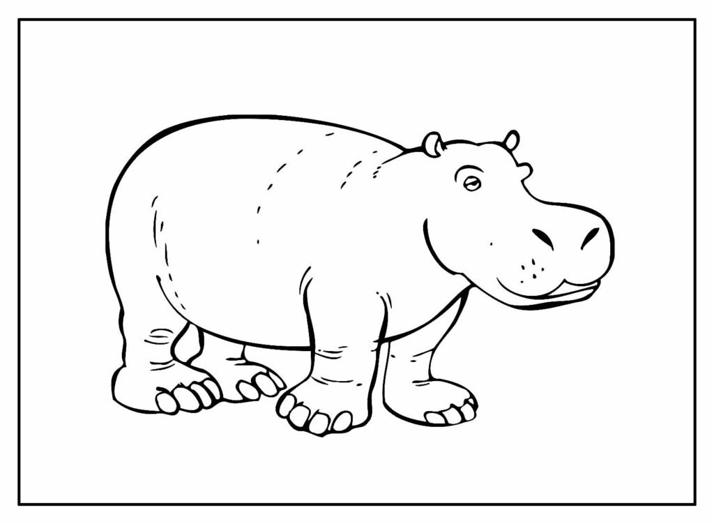 desenhos de hipopotamo para colorir 14