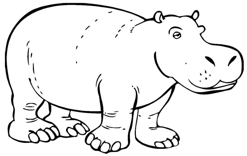 desenhos de hipopotamo para colorir 15 desenhos de hipopotamo para colorir 15