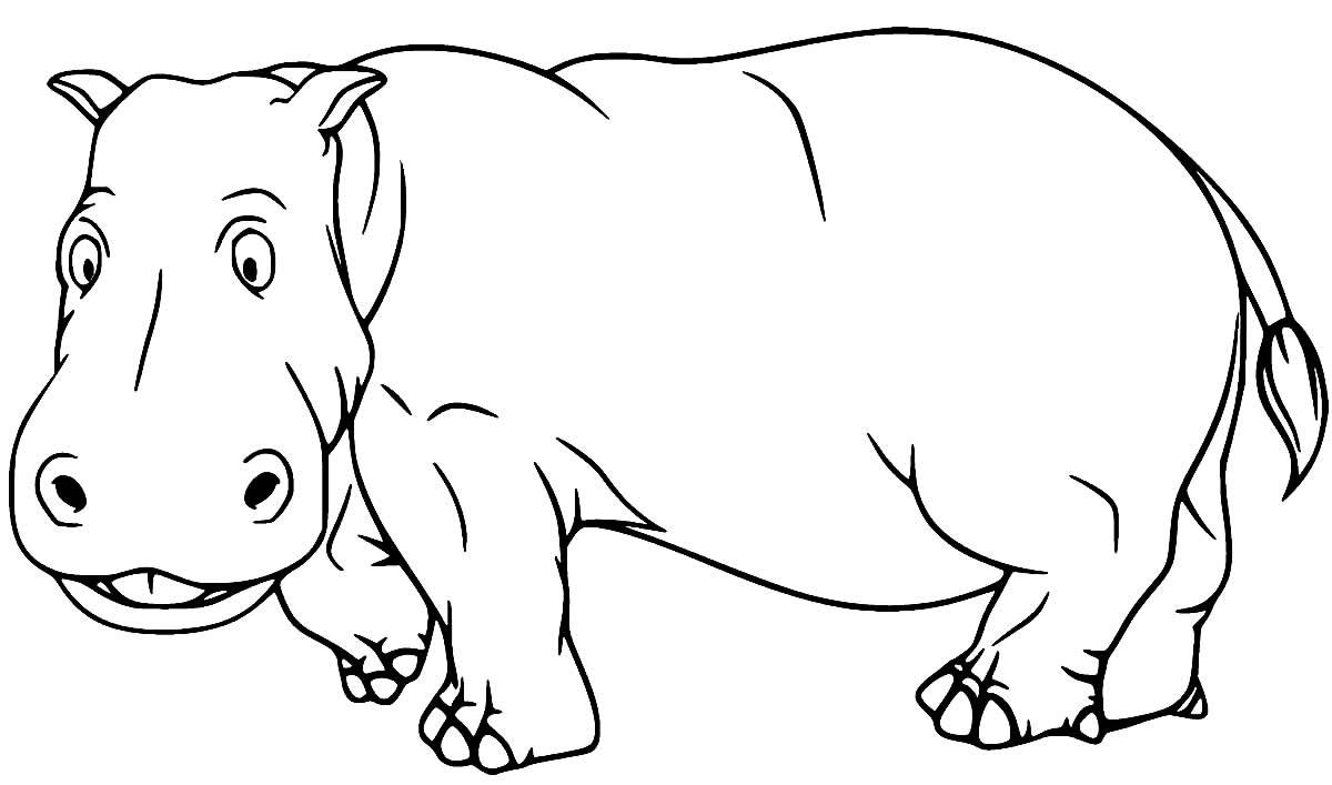 Desenhos de Hipopótamo para Colorir e Imprimir