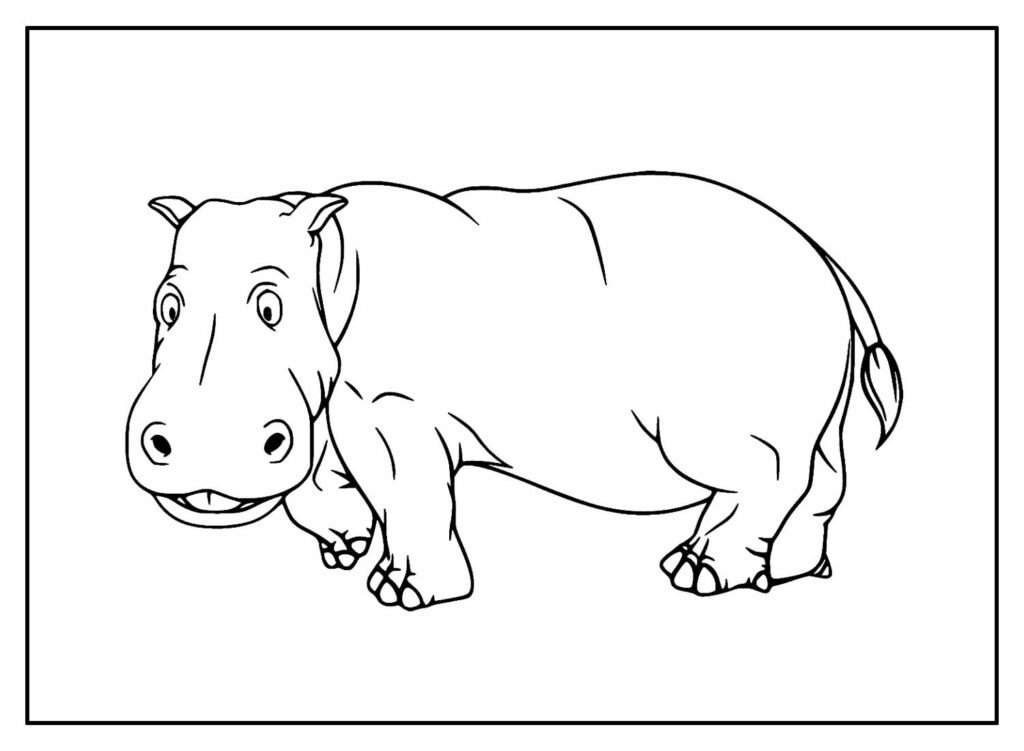 desenhos de hipopotamo para colorir 22