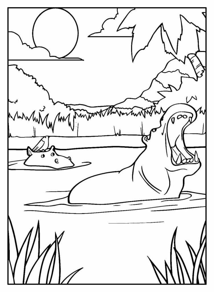desenhos de hipopotamo para colorir 29