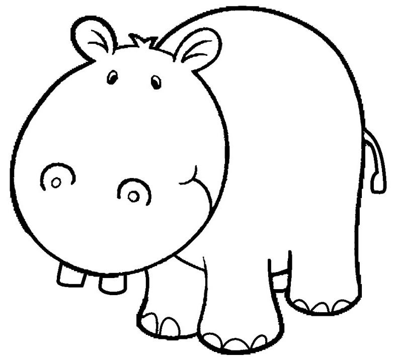 desenhos de hipopotamo para colorir 3