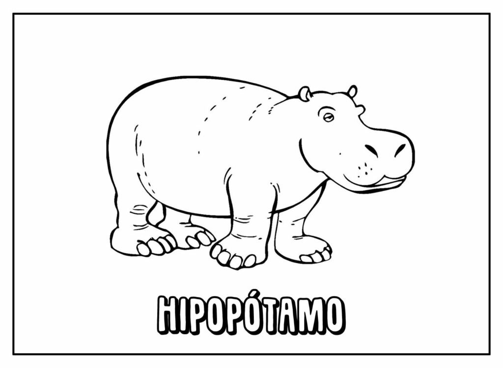 desenhos de hipopotamo para colorir 31
