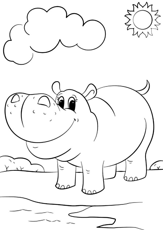 desenhos de hipopotamo para colorir 500