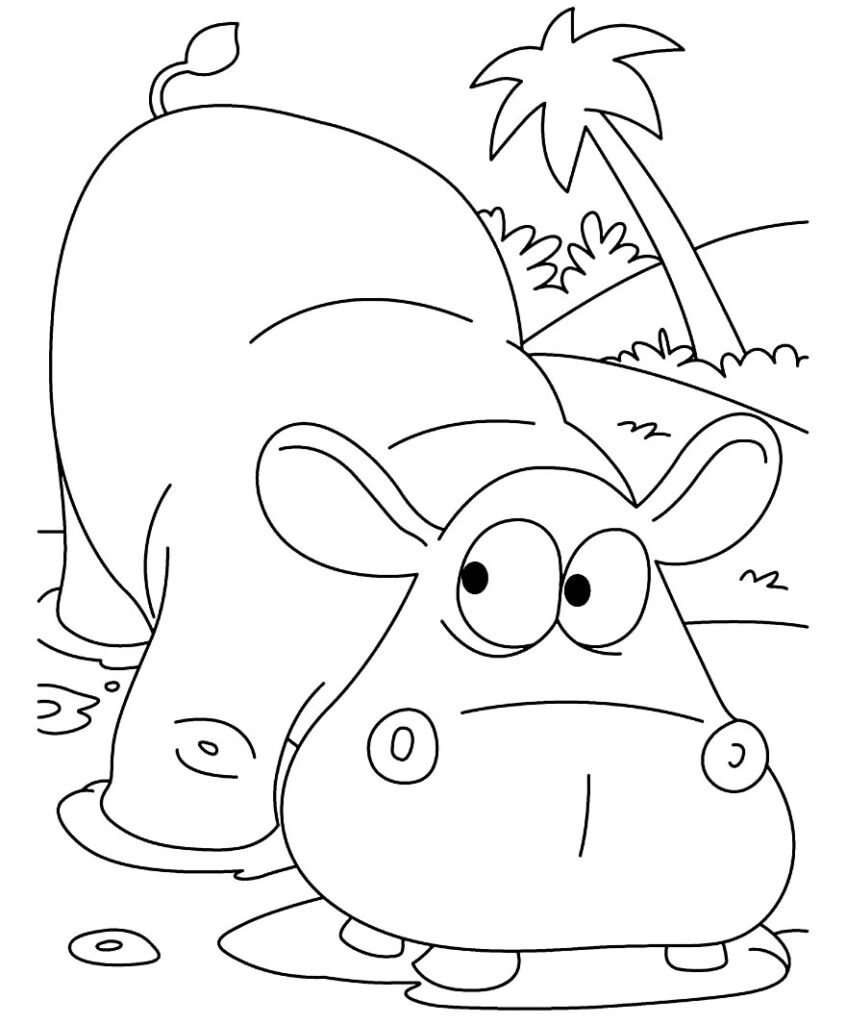 desenhos de hipopotamo para colorir 7