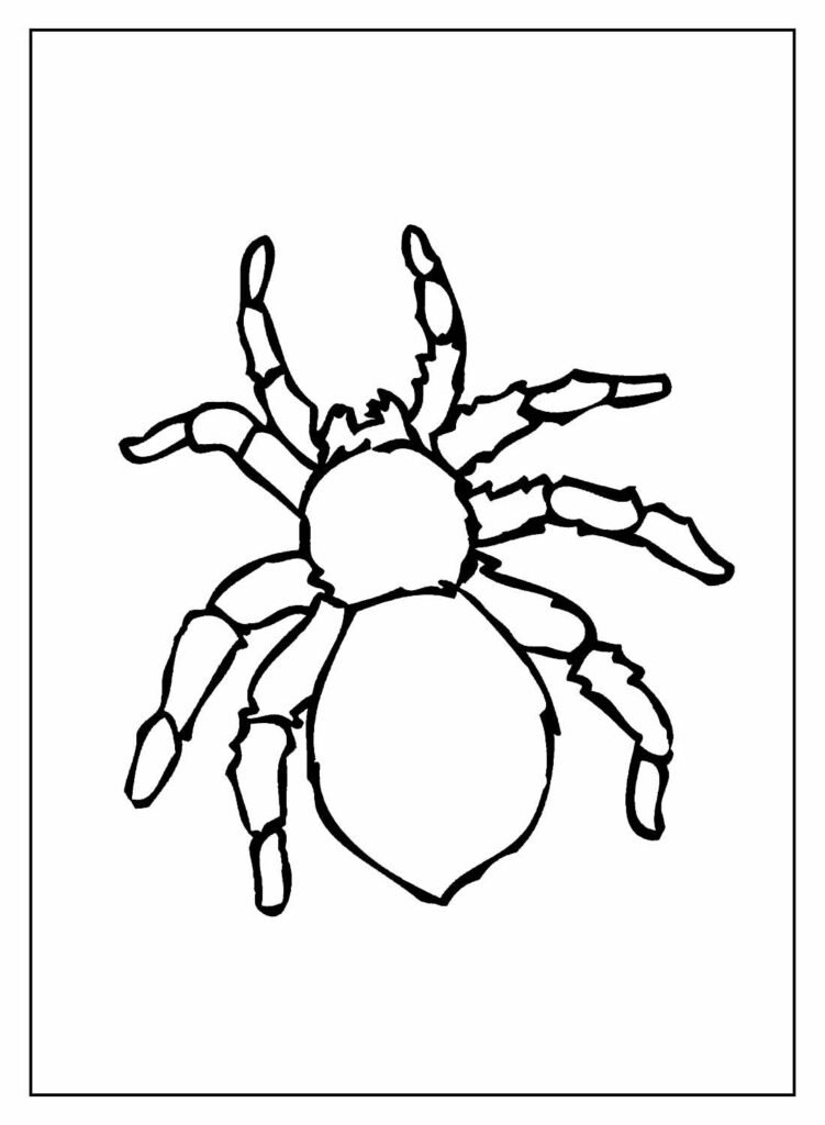 desenhos de insetos para colorir 13
