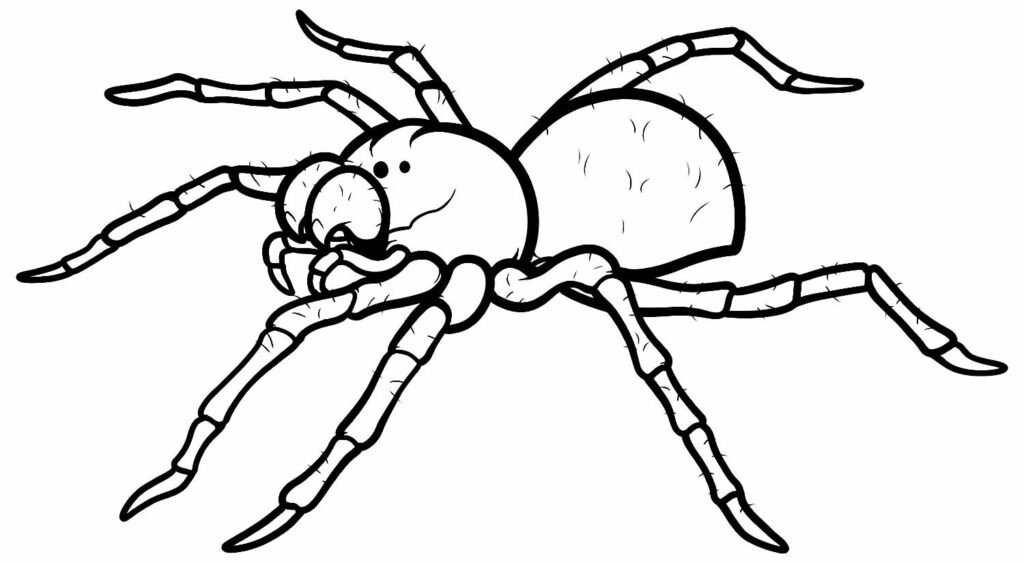 desenhos de insetos para colorir 15