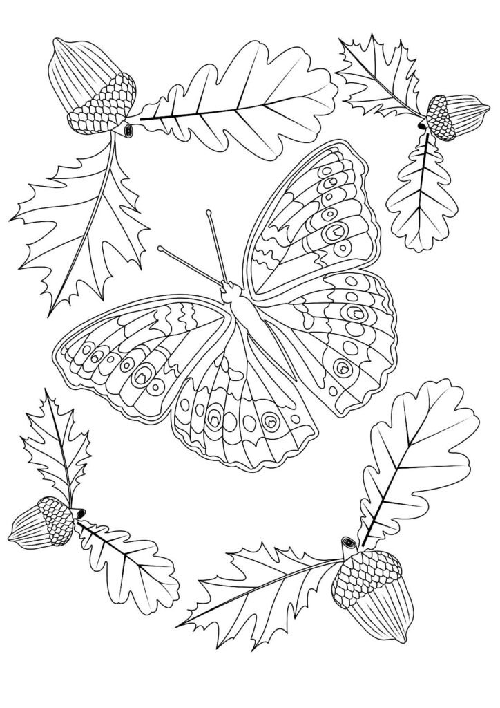 desenhos de insetos para colorir 1500