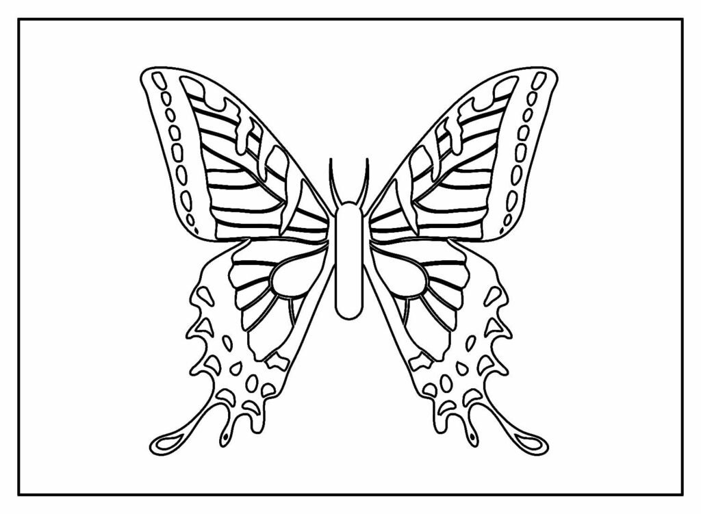 desenhos de insetos para colorir 24