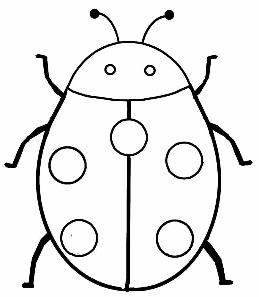 desenhos de joaninha para colorir 2 desenhos de joaninha para colorir 2