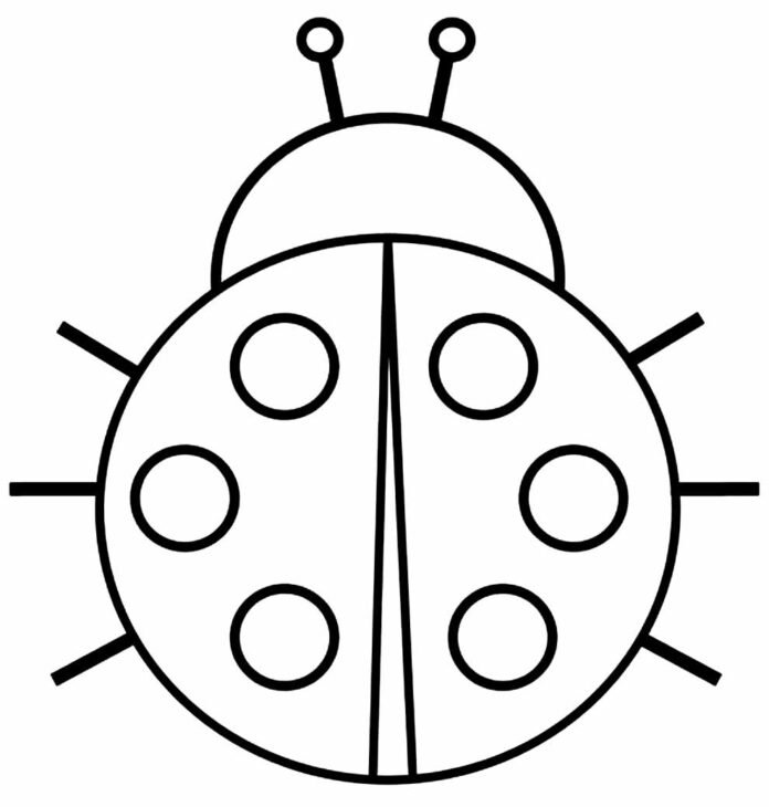 Desenhos de Joaninhas para Colorir e Imprimir - Muito Fácil - Aprender ...