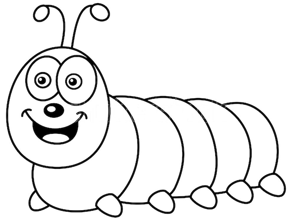 desenhos de lagarta para colorir 1