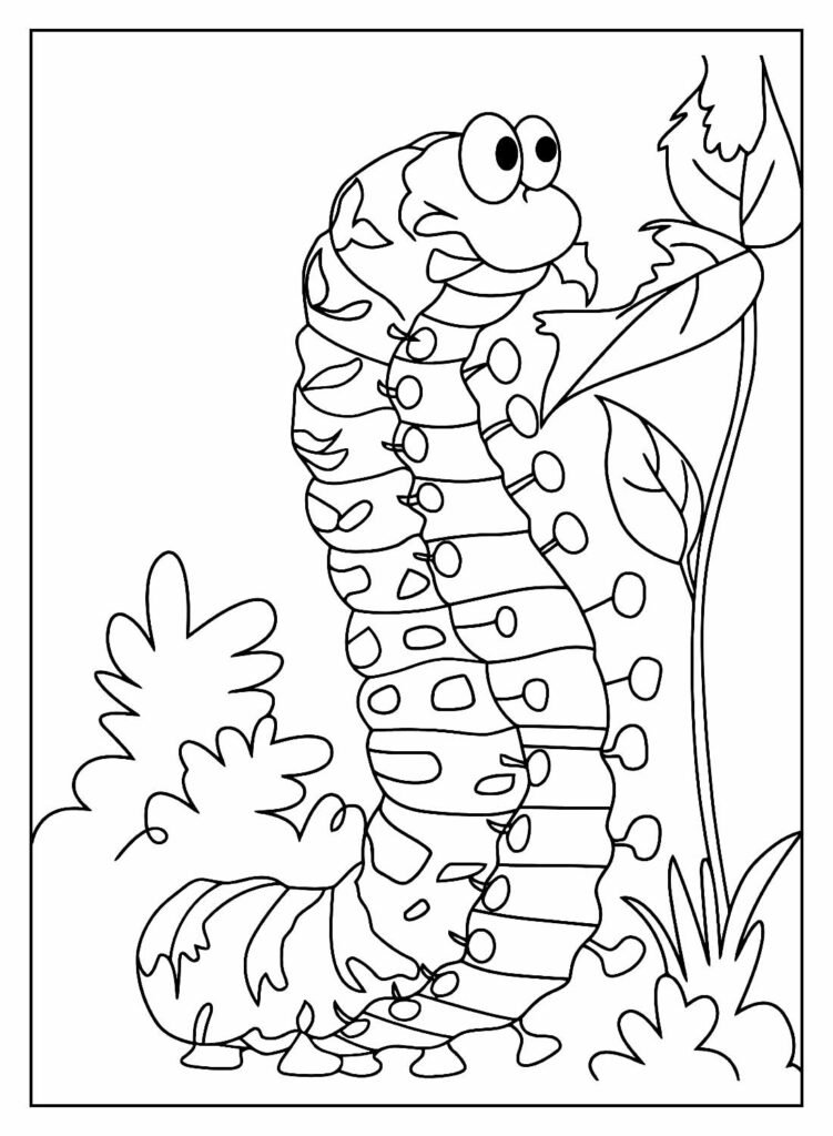 desenhos de lagarta para colorir 26