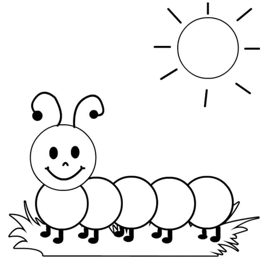 desenhos de lagarta para colorir 400