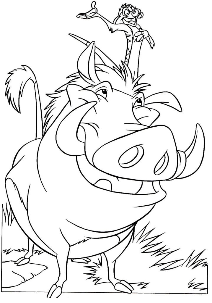 desenhos de o rei leao para colorir 14