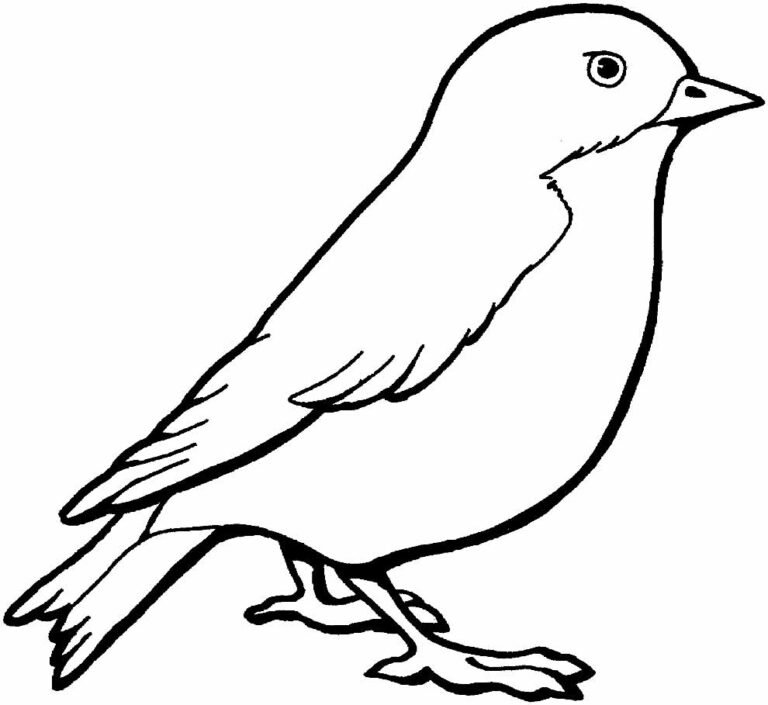 40 Desenhos fáceis de fazer no papel para iniciantes