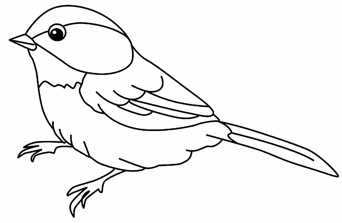 Desenhos de Passarinhos para Colorir e Imprimir