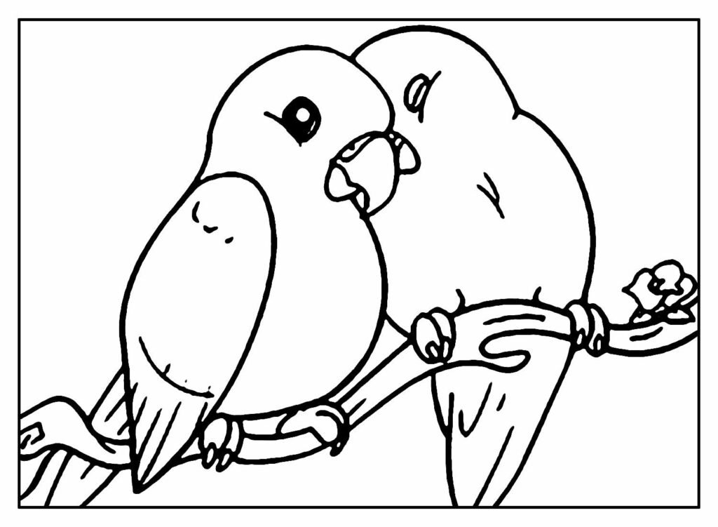 desenhos de passarinhos para colorir 13