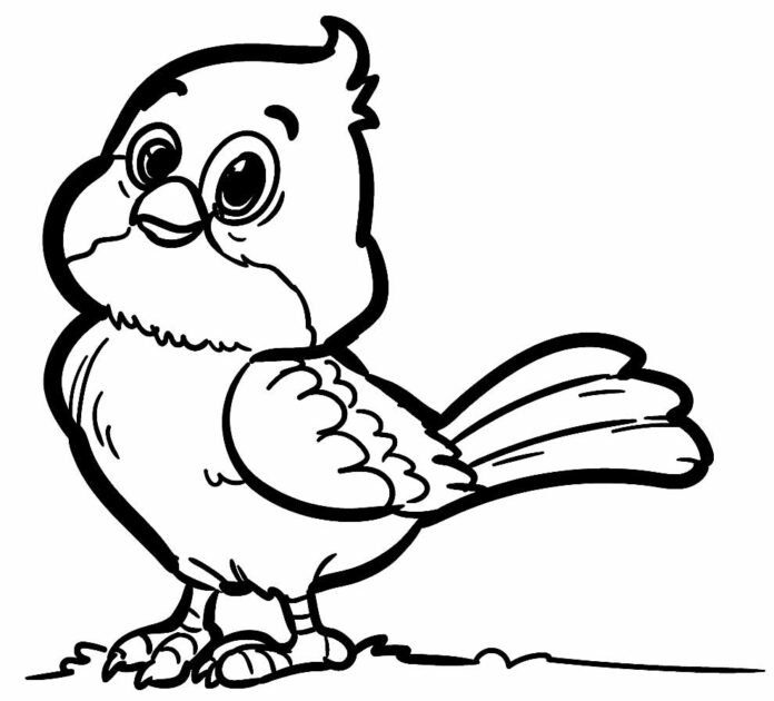 Desenhos de Passarinhos para Colorir e Imprimir