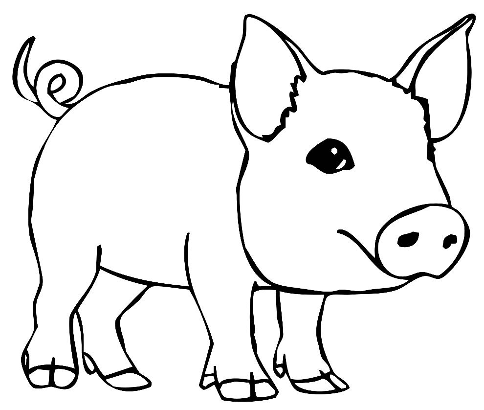 desenhos de porquinho para colorir 15 1