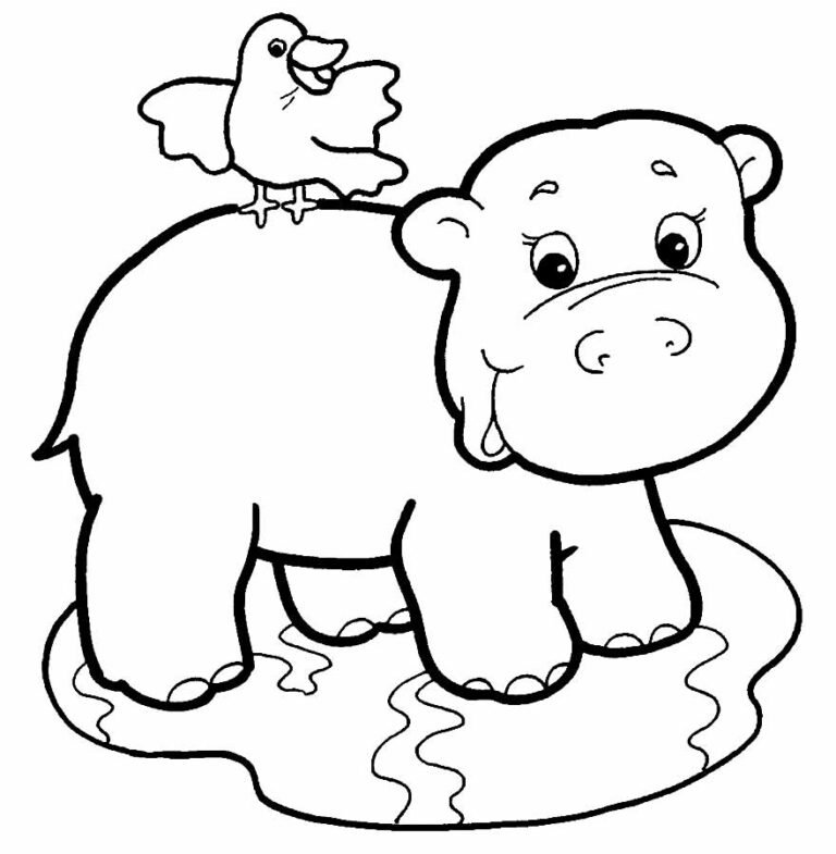 Desenhos de Safari para Colorir e Imprimir