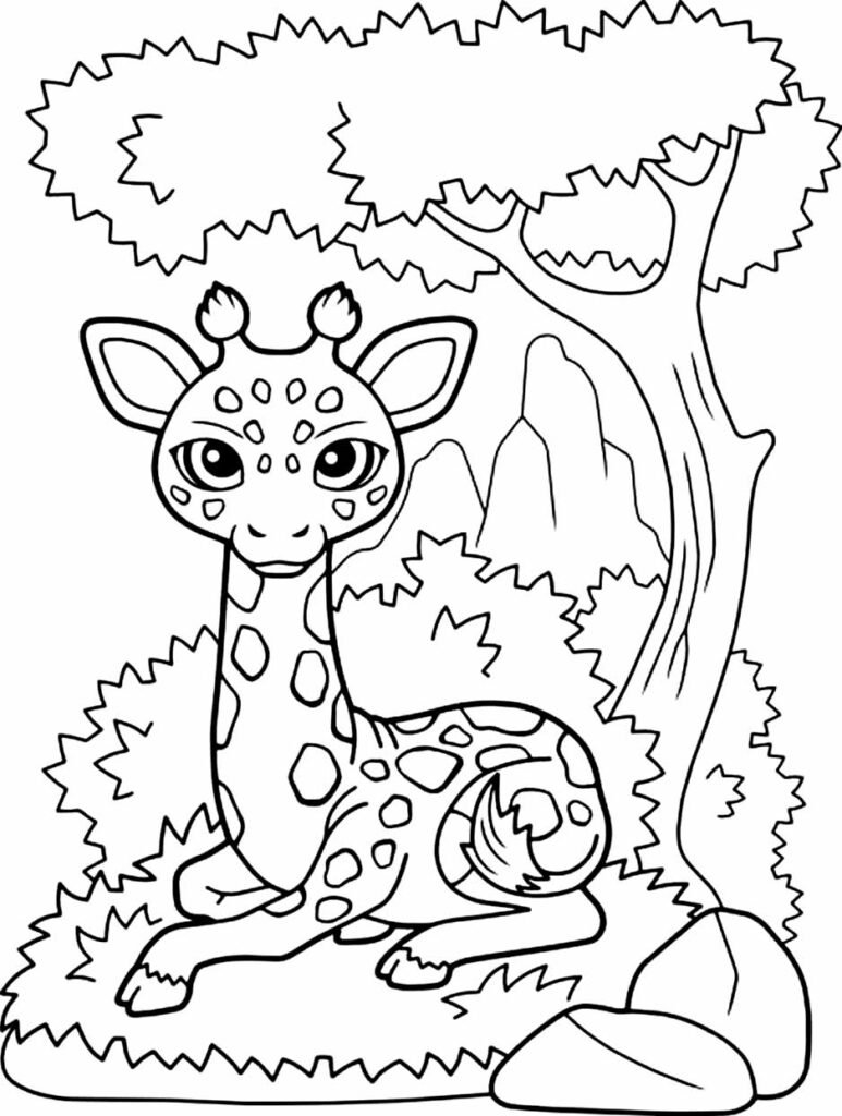 desenhos de safari para colorir 4